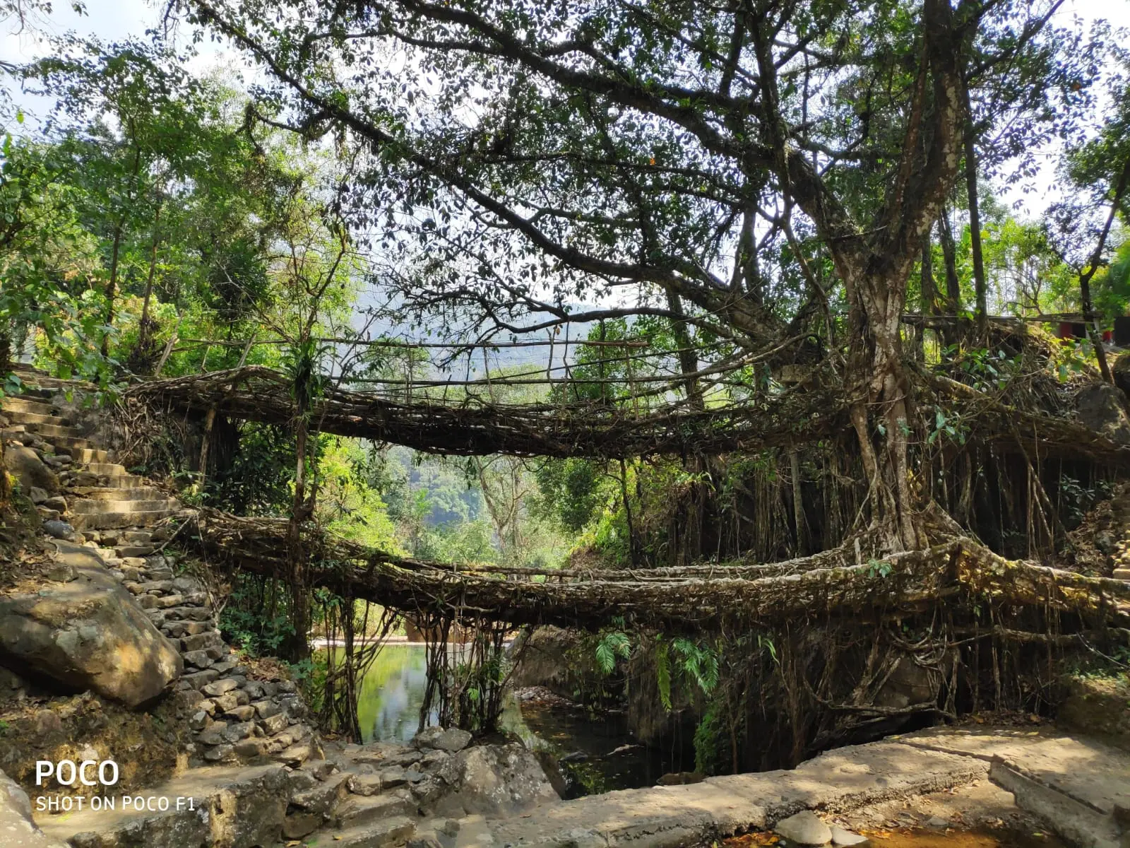 North East Standard – Kaziranga, Shillong & Cherrapunjee Tour / 6 Nights / 7 Days